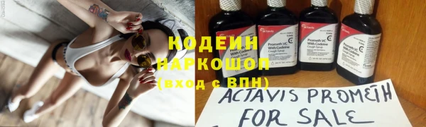 таблы Бородино