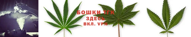 таблы Бородино