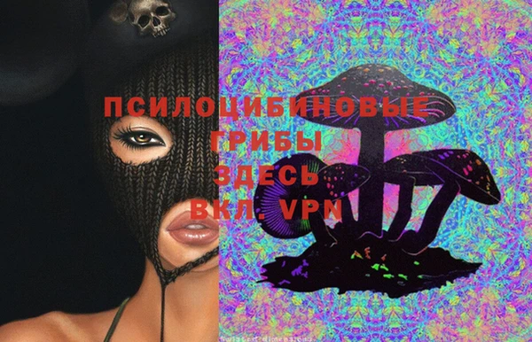 таблы Бородино