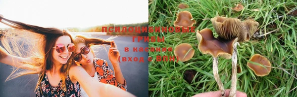 стафф Бугульма