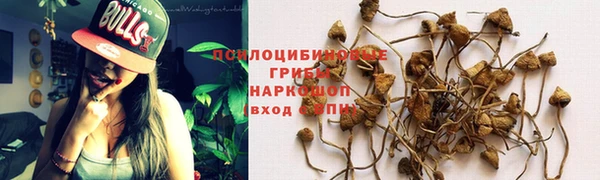 jwh Бронницы