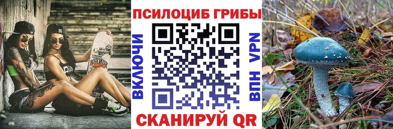 Псилоцибиновые грибы ЛСД  цена наркотик  Цоци-Юрт 